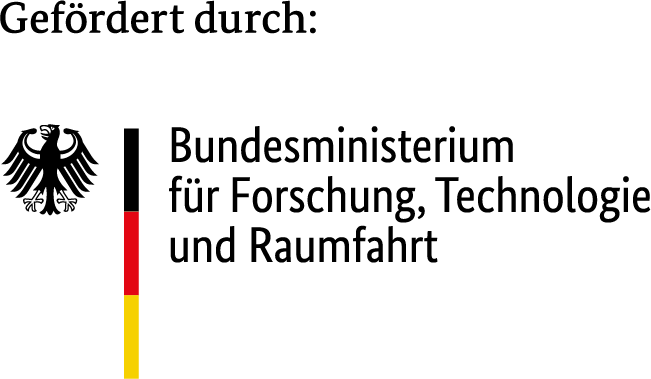 BMFTR_de_DTP_CMYK_gef_durch